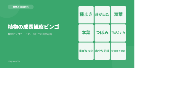 【夏休み自由研究】無地ビンゴカードで作る「植物の成長観察ビンゴ」
