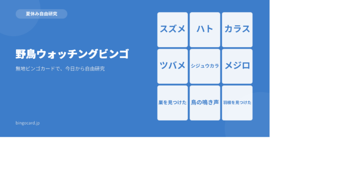 【夏休み自由研究】無地ビンゴカードで作る「野鳥ウォッチングビンゴ」