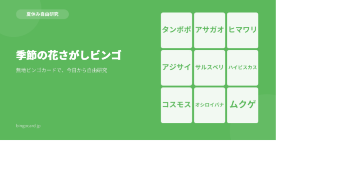 【夏休み自由研究】無地ビンゴカードで作る「季節の花さがしビンゴ」