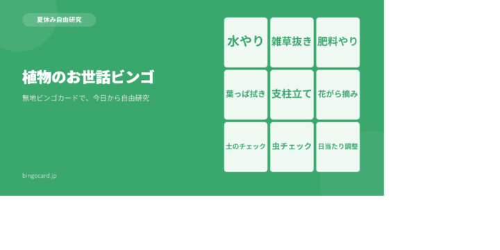 【夏休み自由研究】無地ビンゴカードで作る「植物のお世話ビンゴ」